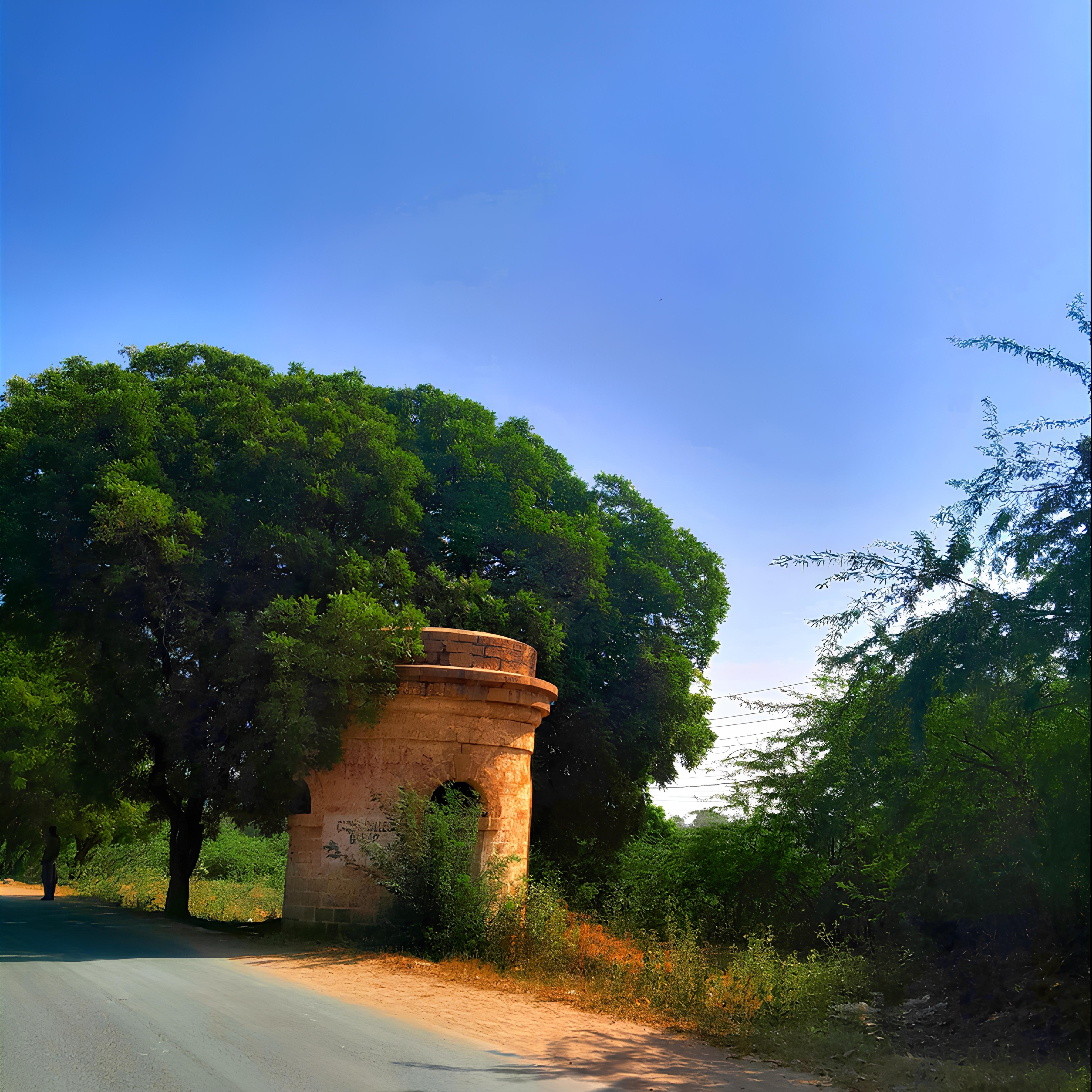 Vines and trees growing from a destroyed high-rise building